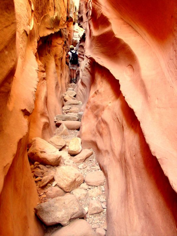 04160302LittleWildHorse (1055)